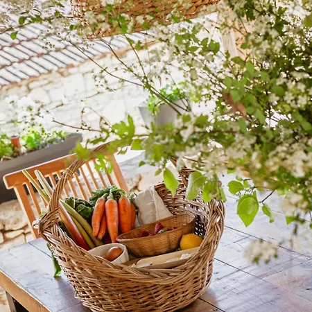 Villa La Tannerie - St Antonin Noble Val Espinas